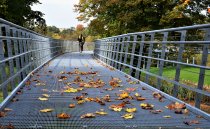 &quot;Rudens tiltu&quot; Rita Būgienė